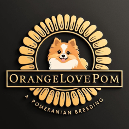 Projekt bez nazwy (2)