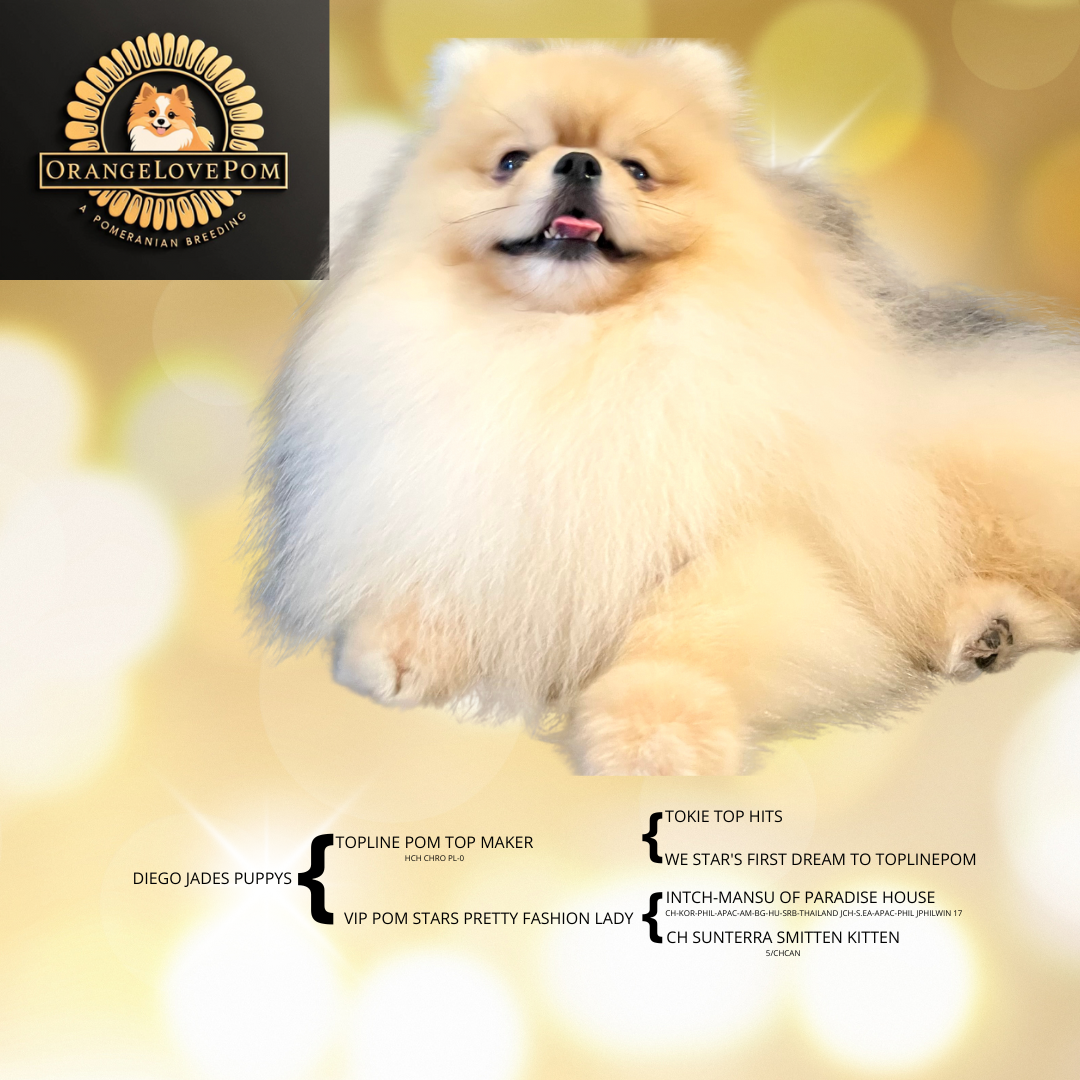 Purple and Pink Dreamy Gradients Y2K Hearts Motivational Instagram Post – kopia – kopia – kopia – kopia – kopia