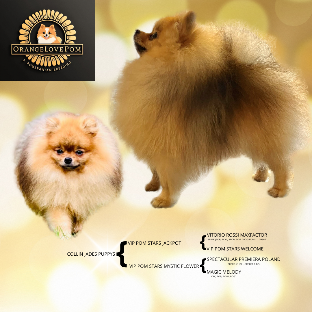 Purple and Pink Dreamy Gradients Y2K Hearts Motivational Instagram Post – kopia – kopia – kopia – kopia