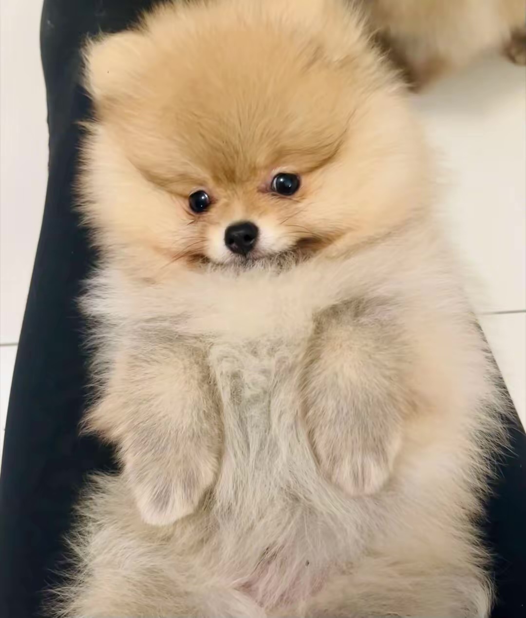 temp_image_176C916F-666B-43A8-8220-0959867EBA71