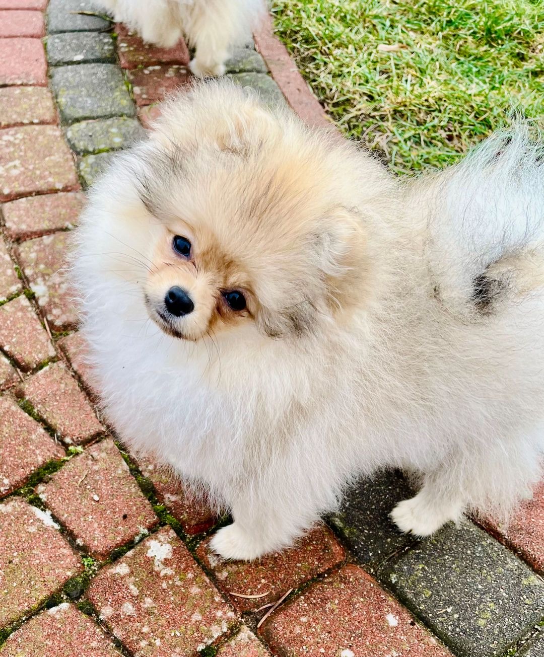 temp_image_384D7088-D6FB-419D-96DA-1FA98F905A7A