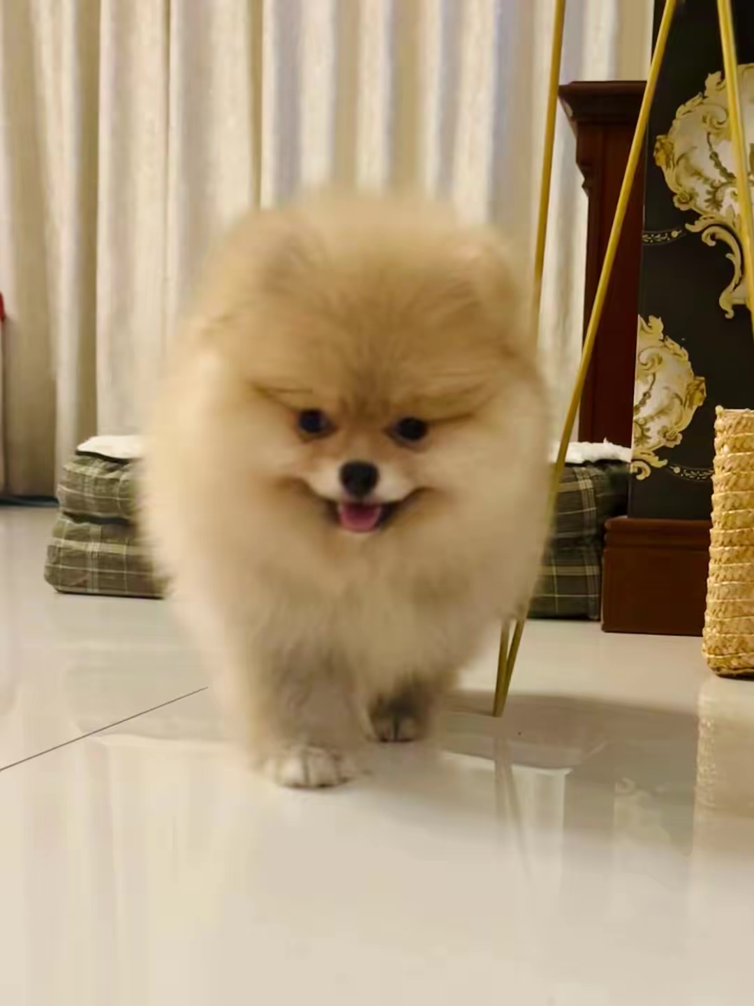 temp_image_47B77354-D233-417C-92B7-905E4691D6E2